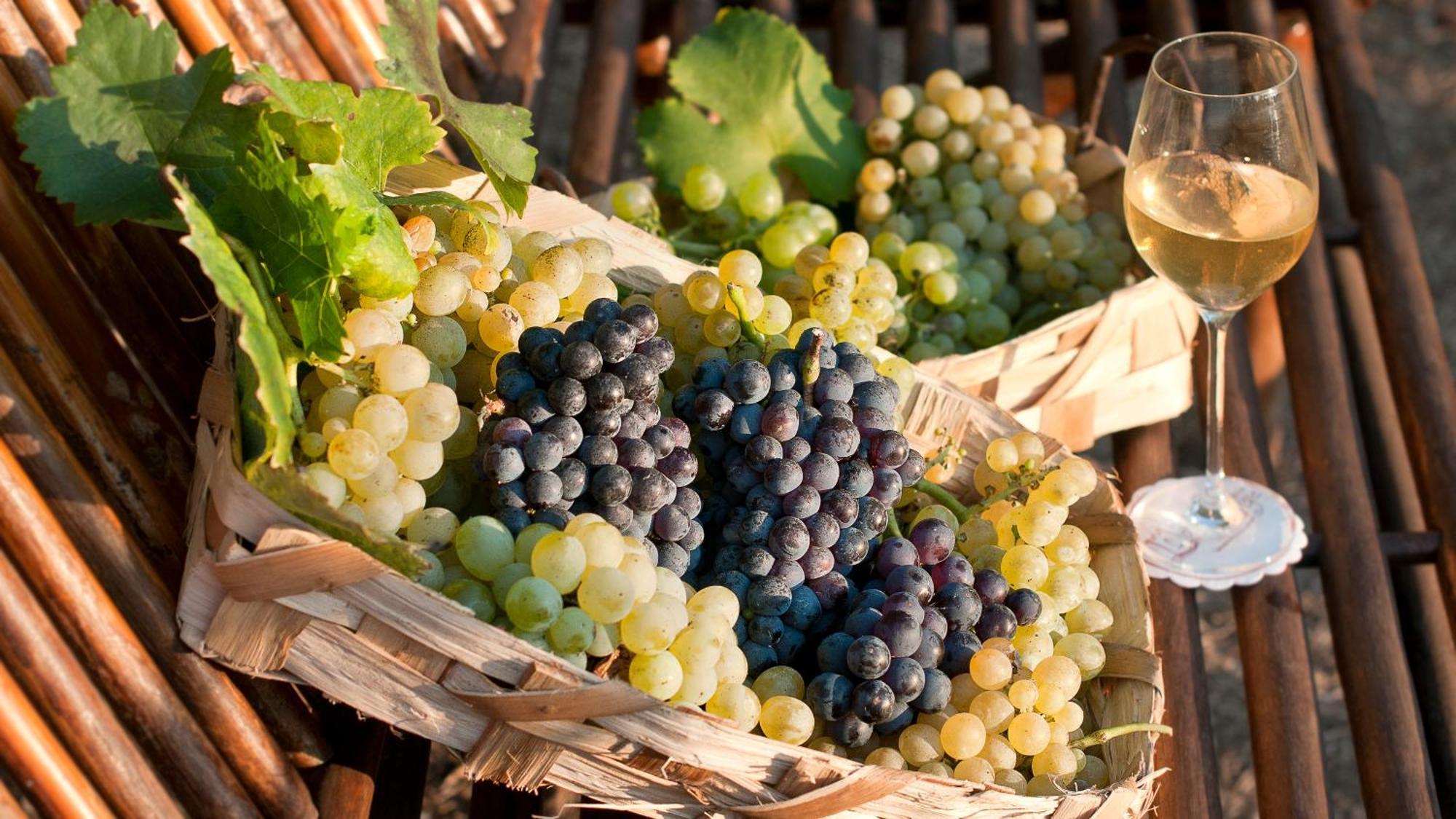 Albergo 'La Vigna' 프로치다 외부 사진